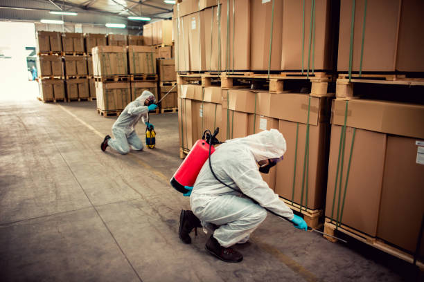 Best Flea Control Services  in Valley Falls, SC