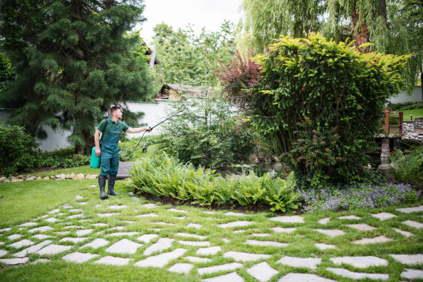 Best Pest Inspection Near Me  in Valley Falls, SC