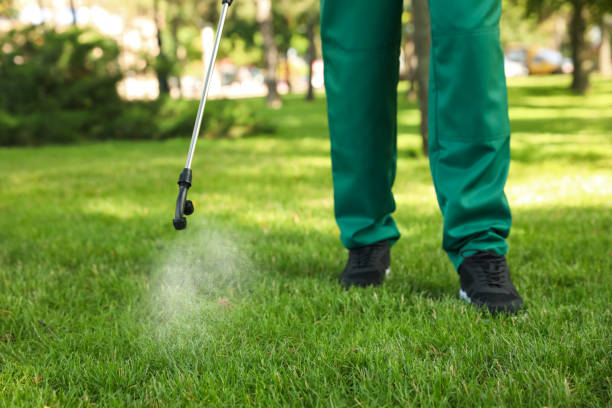Best Pest Control for Homes  in Valley Falls, SC