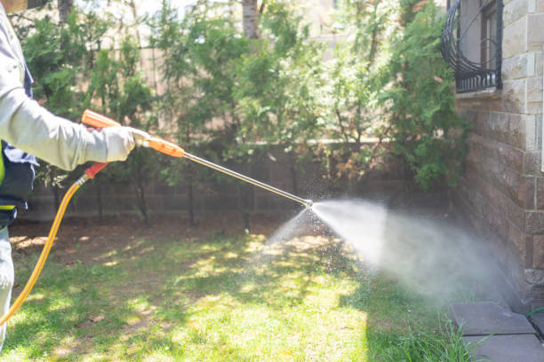 Best Best Pest Control Companies  in Valley Falls, SC