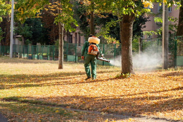 Best Commercial Pest Control Services  in Valley Falls, SC