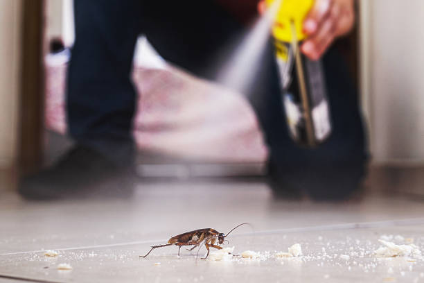 Wildlife Control Services in Valley Falls, SC