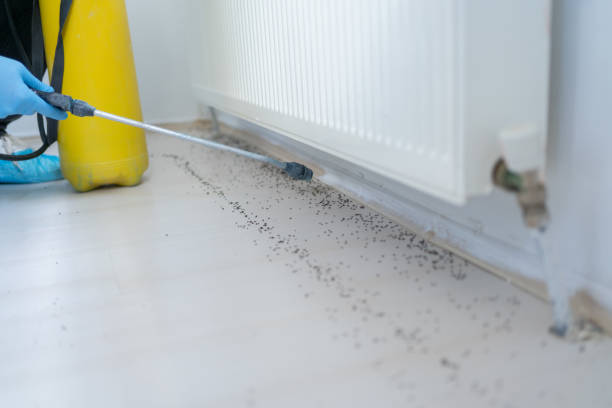  Valley Falls, SC Pest Control Pros