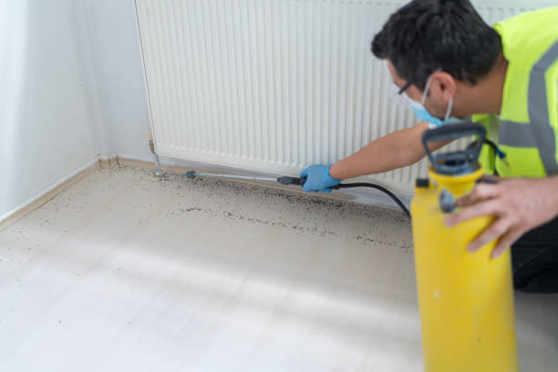 Best Commercial Pest Control Services  in Valley Falls, SC