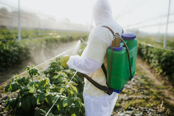 Best Best Pest Control Companies  in Valley Falls, SC